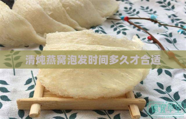 清炖燕窝泡发时间多久才合适