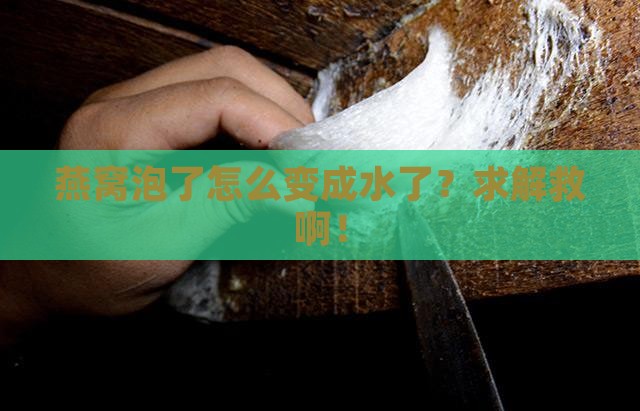 燕窝泡了怎么变成水了？求解救啊！