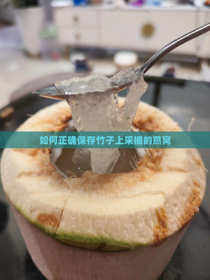 如何正确保存竹子上采摘的燕窝