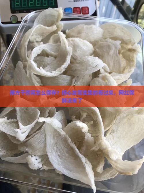 南方干燕窝怎么保存？担心发霉变质的看过来，网红保鲜法来了