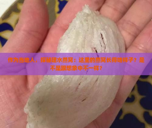 作为当地人，探秘建水燕窝：这里的燕窝长得啥样子？是不是跟想象中不一样？