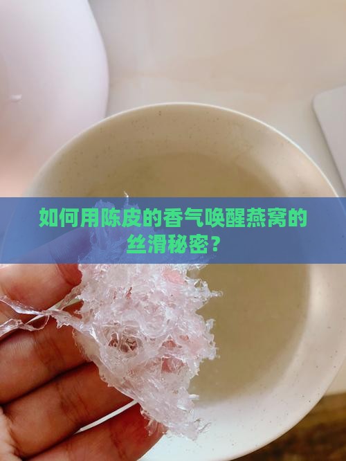 陈皮水煮燕窝怎么做窍门