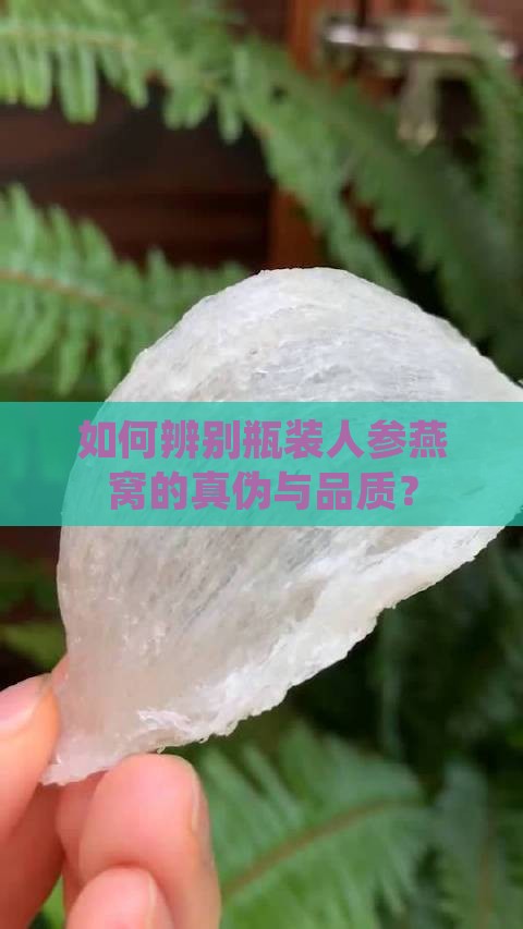 瓶装人参燕窝长什么样子
