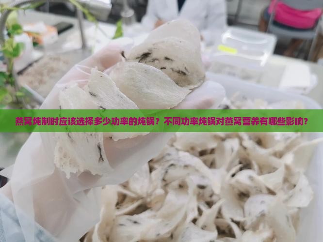 燕窝的炖锅功率高吗多少 燕窝的炖锅功率高吗多少