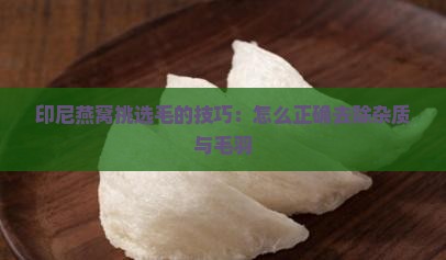 印尼燕窝怎么挑毛的呢