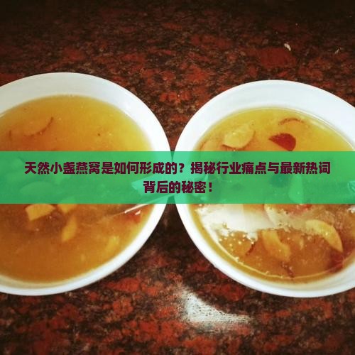 天然小盏燕窝怎么来的