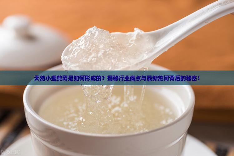 天然小盏燕窝怎么来的