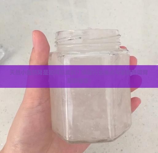 天然小盏燕窝怎么来的