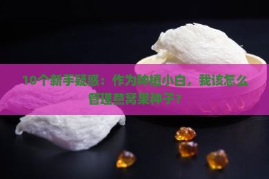 种植燕窝果如何管理种子