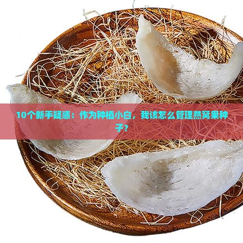 种植燕窝果如何管理种子
