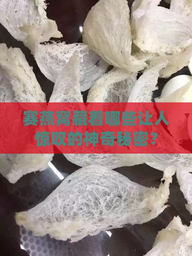 赛燕窝的神奇功效是什么