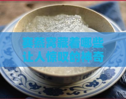 赛燕窝的神奇功效是什么
