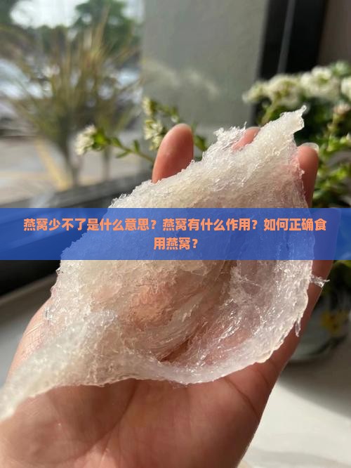 燕窝少不了是什么意思