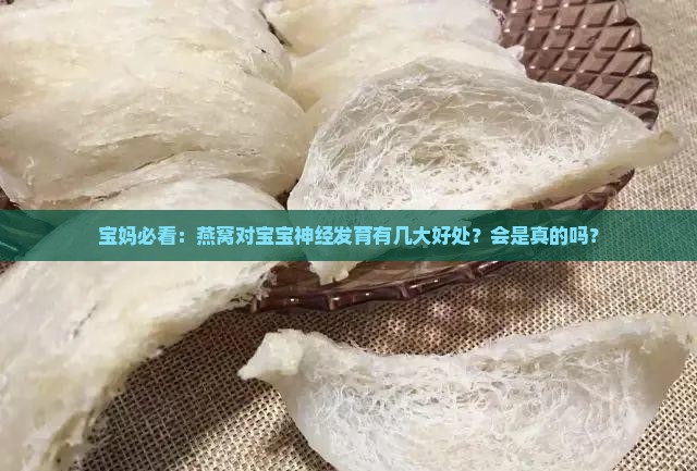 燕窝对神经的好处有哪些