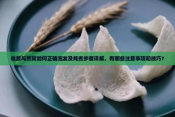 桃胶如何泡发燕窝的步骤
