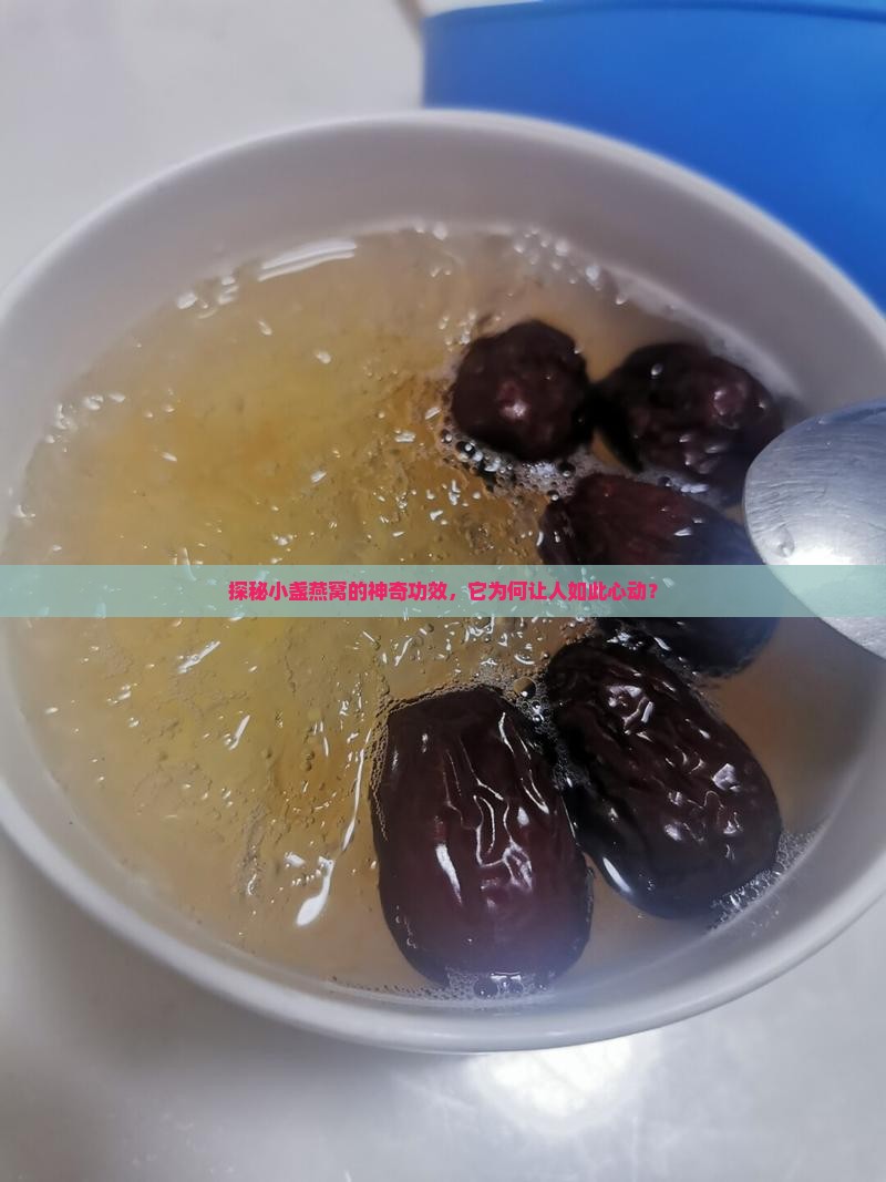 正规燕窝小盏有什么作用