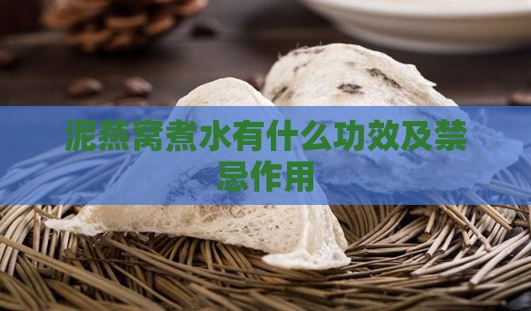 泥燕窝煮水有什么功效