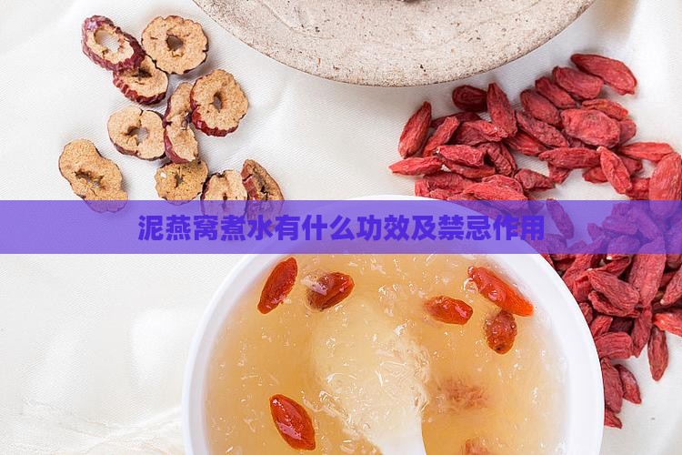 泥燕窝煮水有什么功效