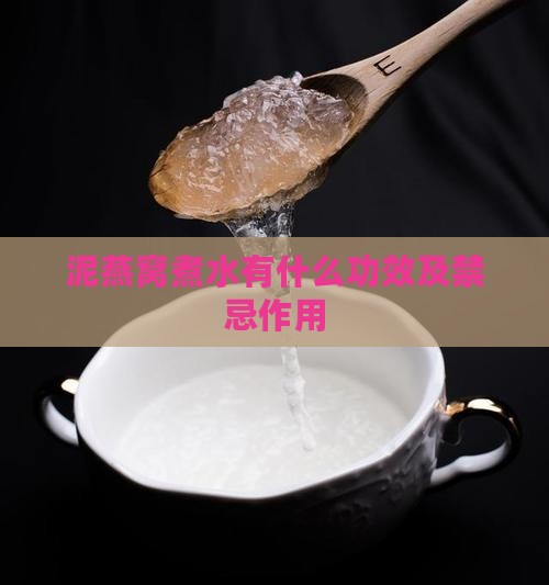 泥燕窝煮水有什么功效