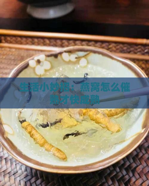 燕窝果怎么样才熟的快 燕窝果怎么样才熟的快