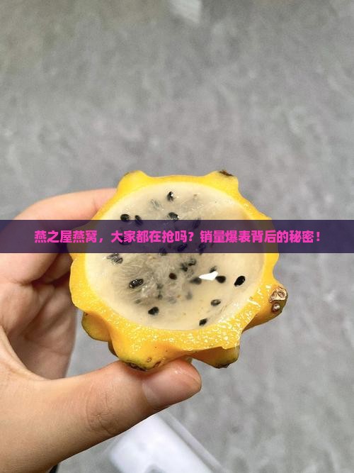 燕之屋燕窝卖得怎么样