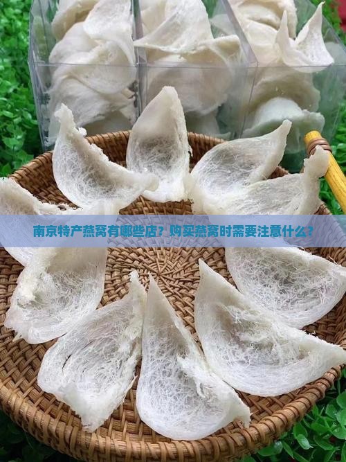 南京特产燕窝有哪些店