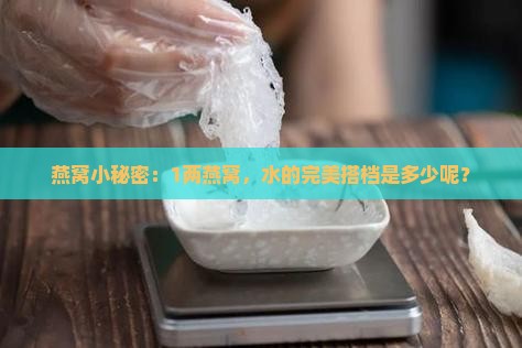 1两燕窝加多少水合适喝