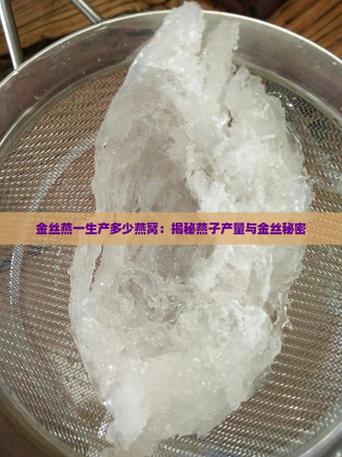 一只金丝燕产多少燕窝啊