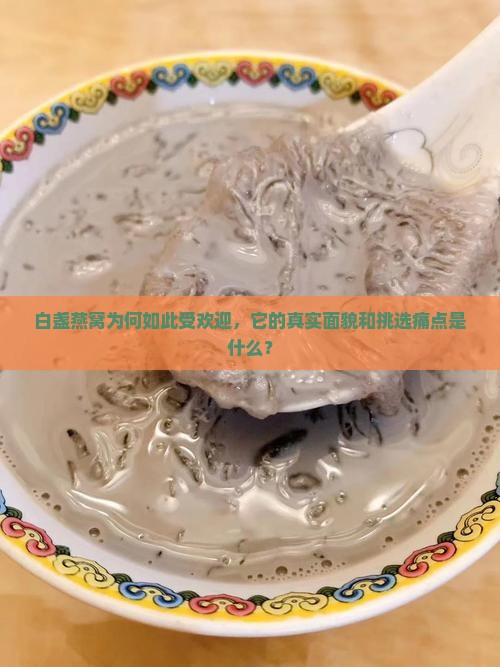 白盏燕窝是什么样子的