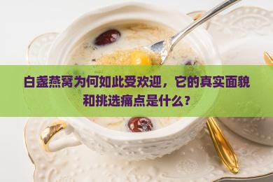 白盏燕窝是什么样子的