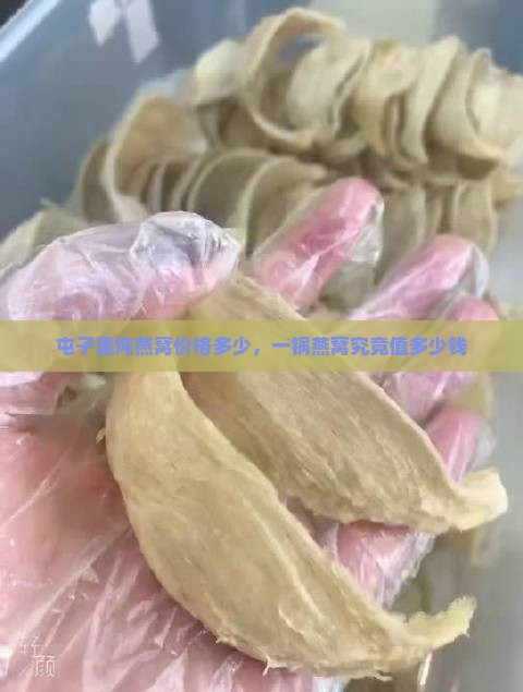 屯子里炖锅炖燕窝多少钱