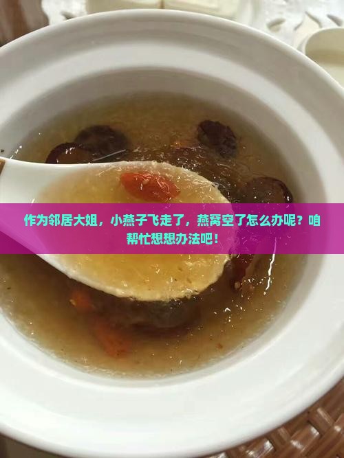 燕窝取走了小燕子怎么办