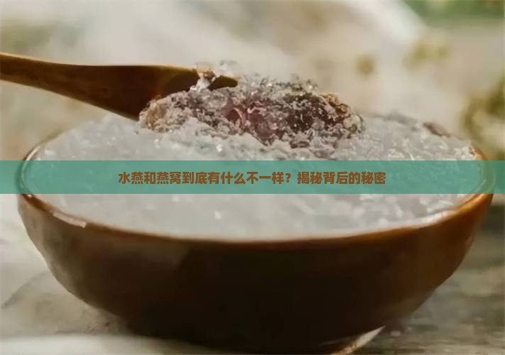 水燕和燕窝的区别是什么