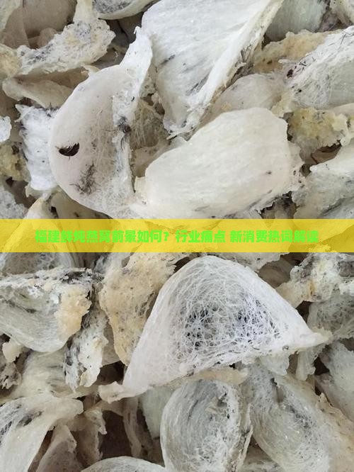 福建鲜炖燕窝前景如何