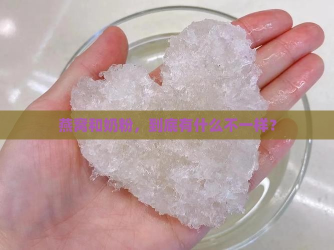 燕窝跟奶粉区别是什么