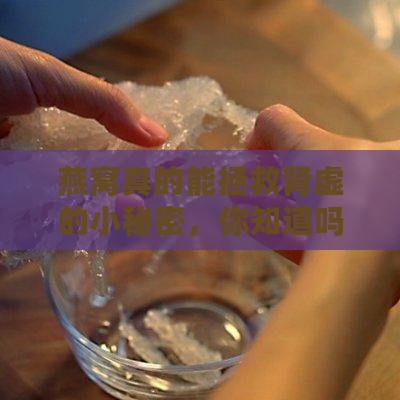 燕窝什么真的能补肾虚