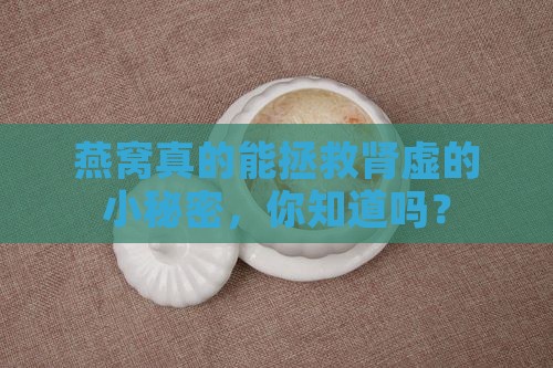 燕窝什么真的能补肾虚