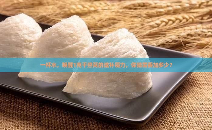 1克干燕窝加多少克水喝