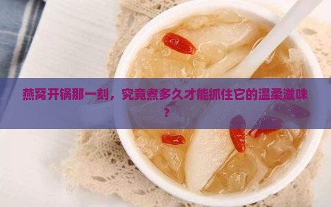 燕窝开锅后煮多久最好呢