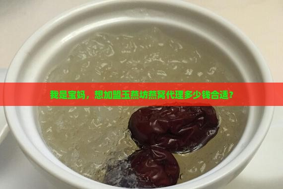 玉燕坊燕窝代理多少钱