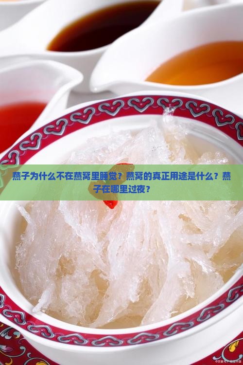 燕子为什么不在燕窝里睡