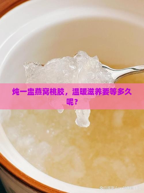 炖盅炖燕窝桃胶要多久