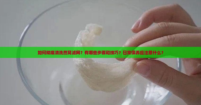 燕窝滤网怎么清洗干净