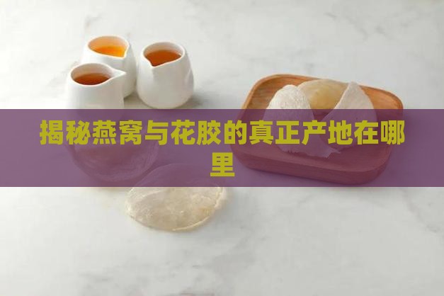 花胶燕窝原产地在哪里