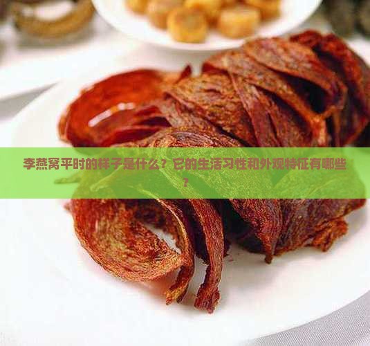 李燕窝平时的样子是什么