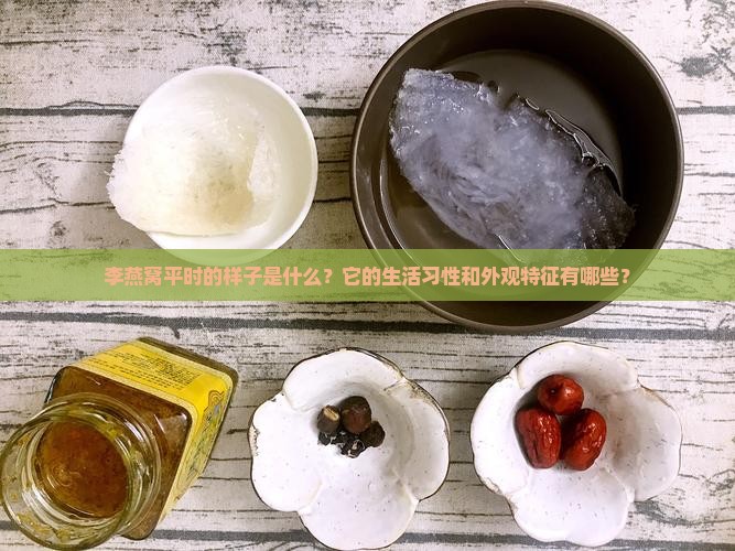 李燕窝平时的样子是什么