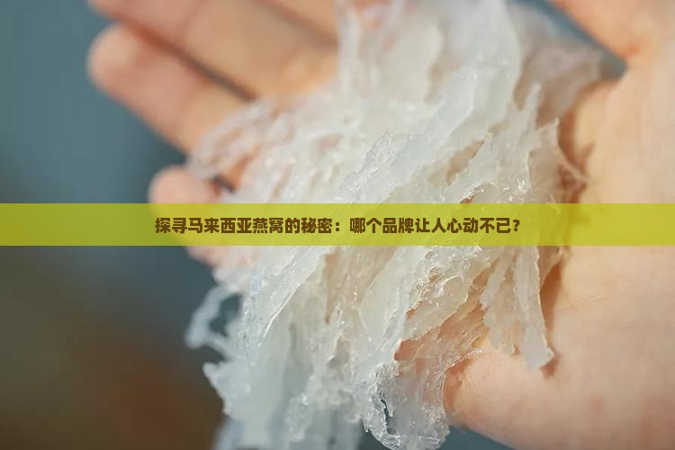 马来西亚什么牌子燕窝