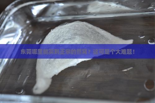 东莞去哪里买燕窝正宗