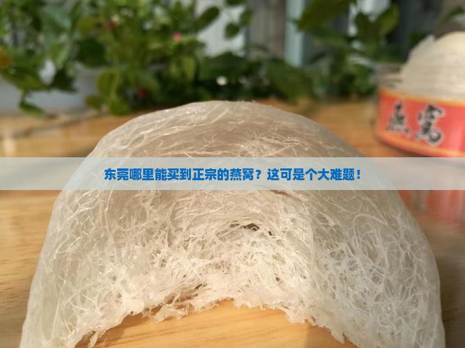 东莞去哪里买燕窝正宗