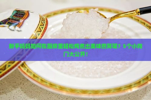 在家如何炖煮燕窝窍门呢